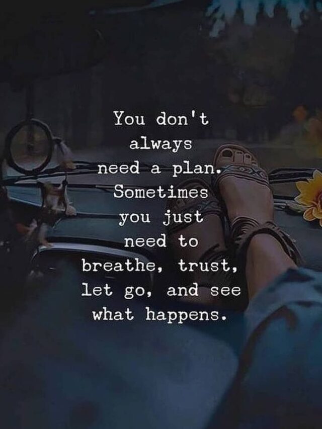 01bd24d6f5574152ec5a65244442540f