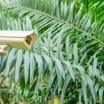 how-to-choose-outdoor-cctv-cameras-for-maximum-security